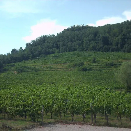 Affittacamere Agriturismo Subida 23 *